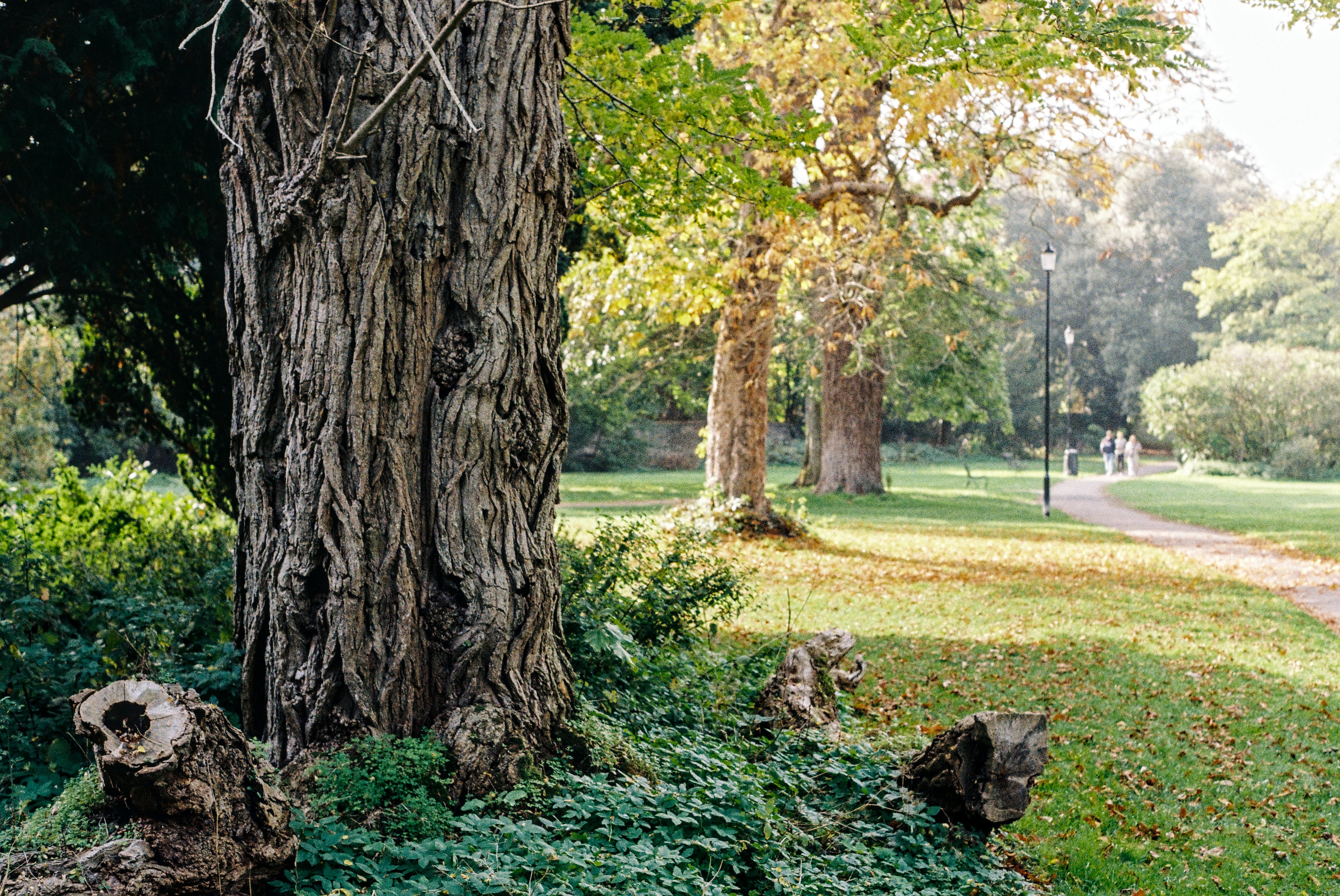 Cirencester, UK - financial adviser in the Capital of the Cotswolds
