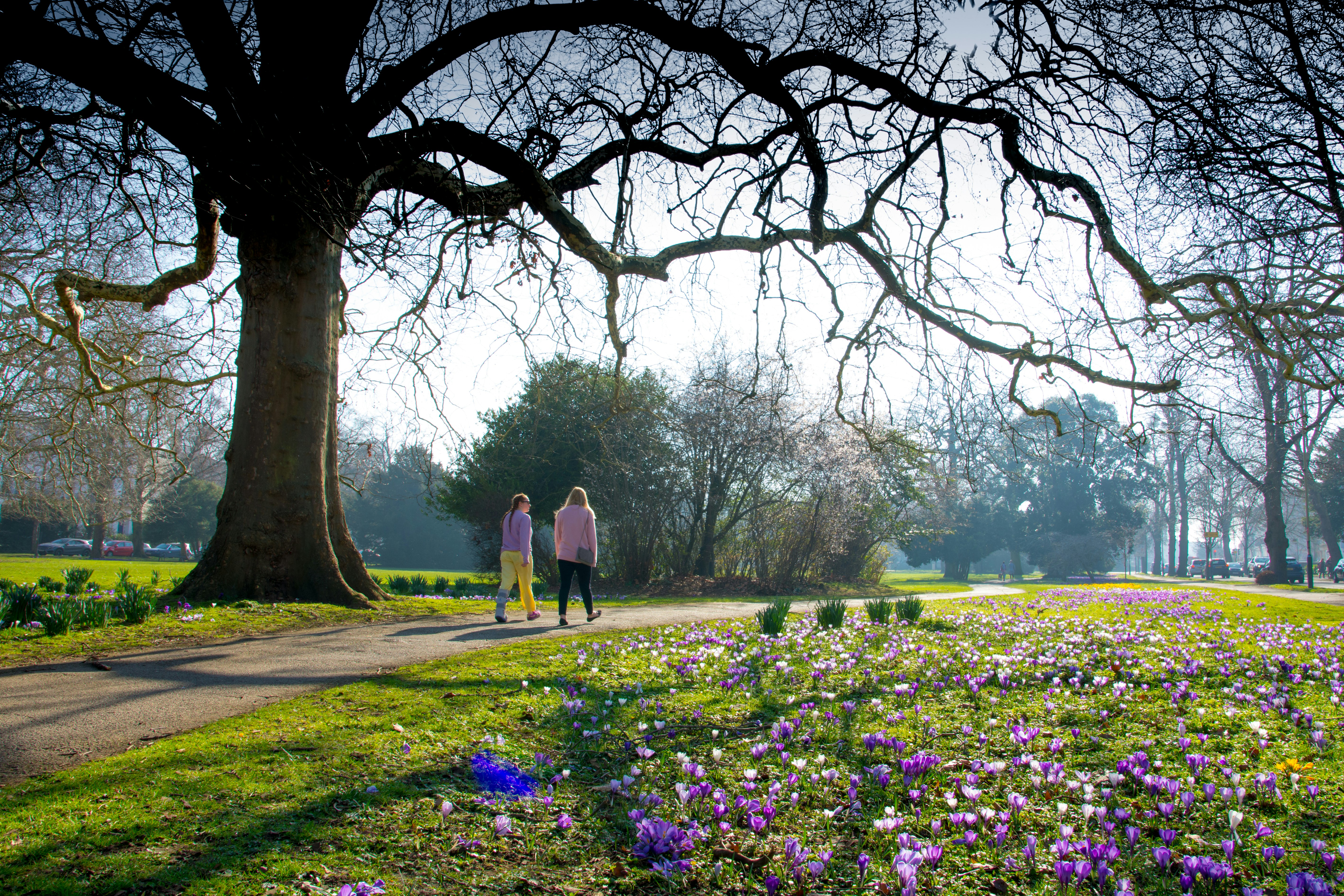 Pittville Park, Cheltenham - financial planning in Pittville, Cheltenham